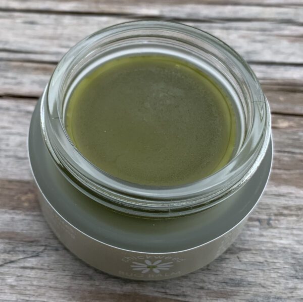 Natural Bug Balm - Golden Bay New Zealand
